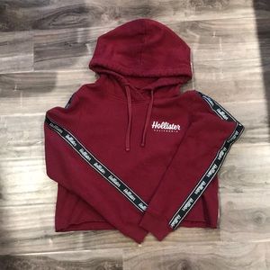 Holloster Cropped Hoodie